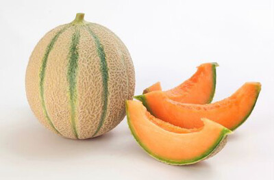 Melone Cantalupo