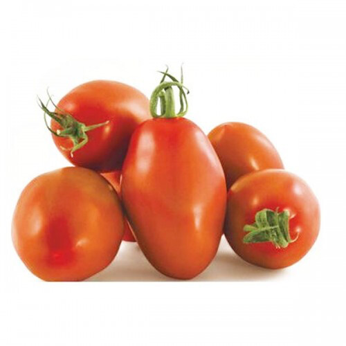 POMODORO VERDE
