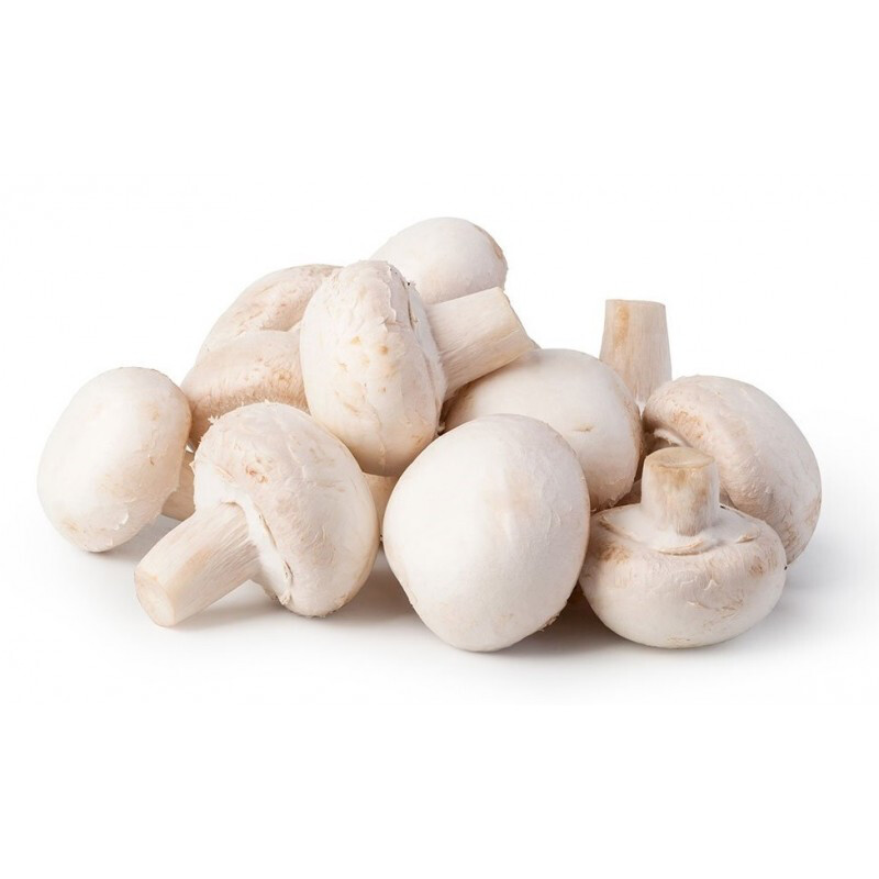 Funghi Champignon II CAT ITA