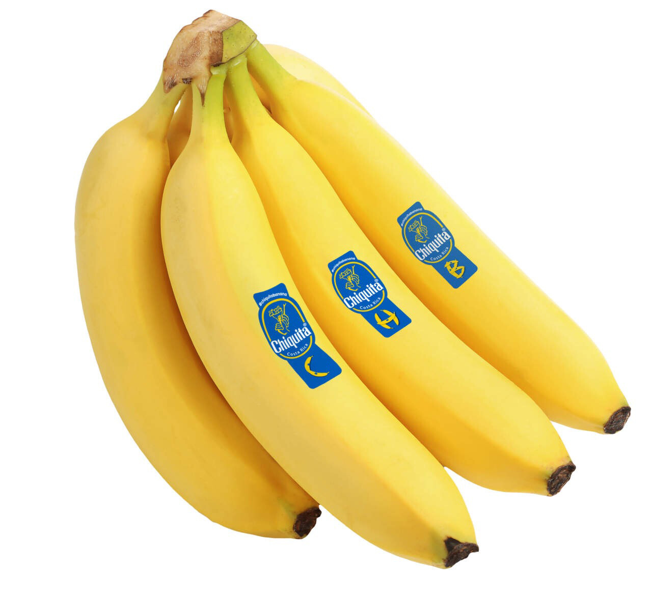Banane Chiquita