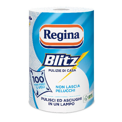 ASCIUGATUTTO REGINA BLITZ 3V 1 ROTOLO 5