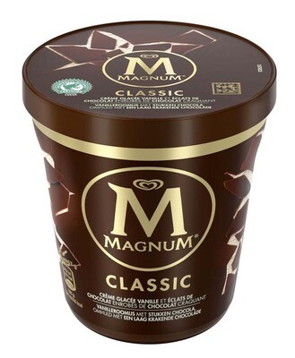 MAGNUM PINTA CLASSIC GR 297 8