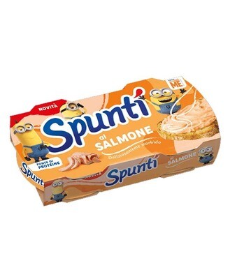 SPUNTI AL SALMONE GR 84X2 20