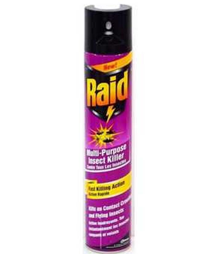 RAID INSETTICIDA MULTINSETTO ML 300 12
