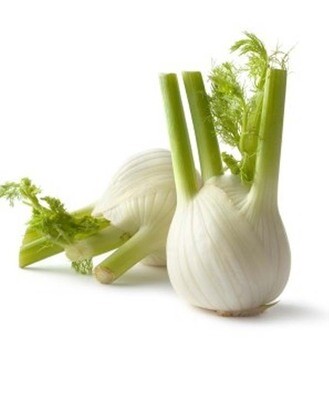 FINOCCHI