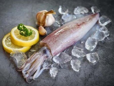 MOLLUSCHI