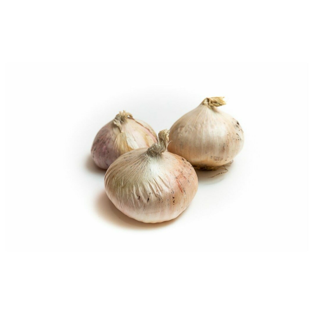 Cipolla giarratana