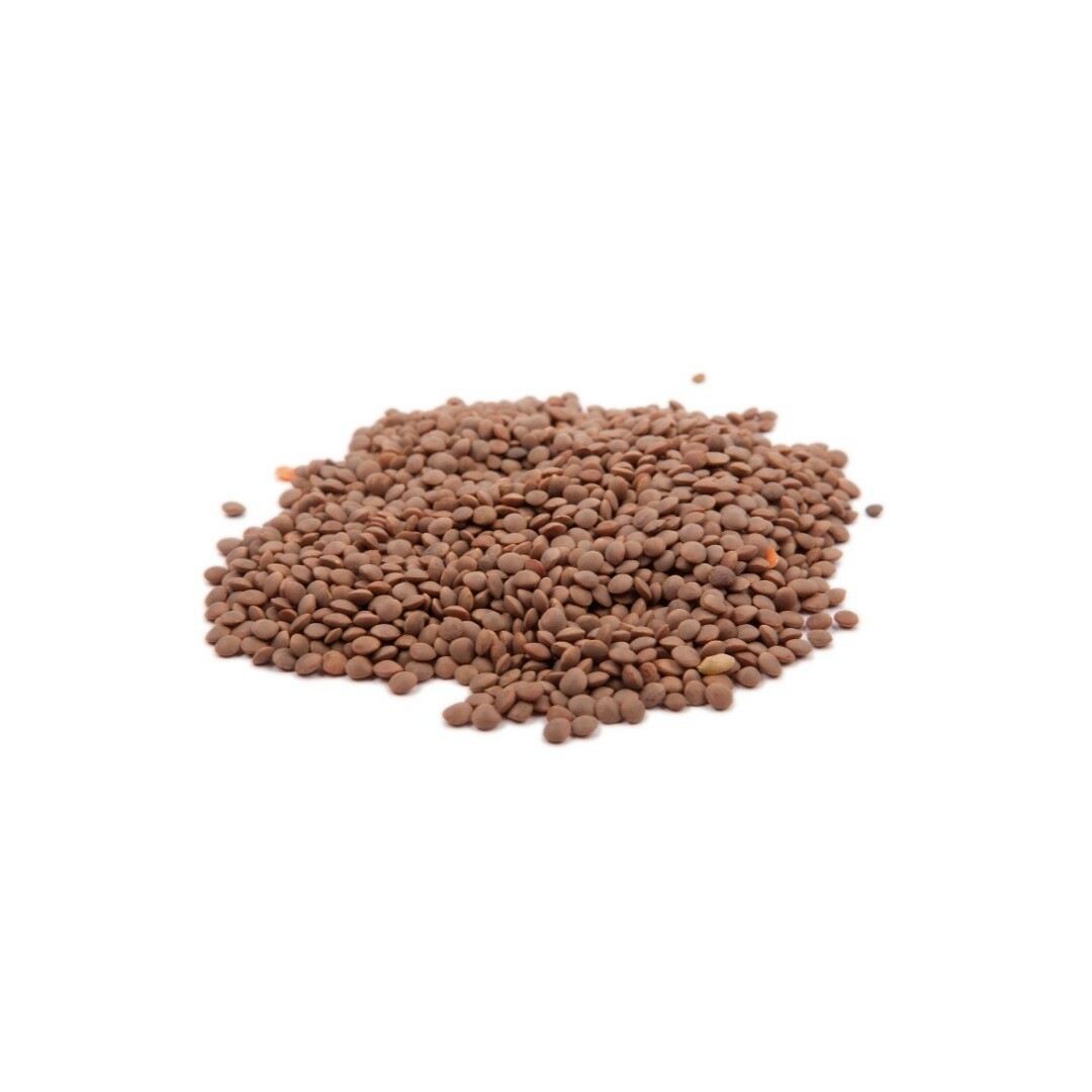 Lenticchia