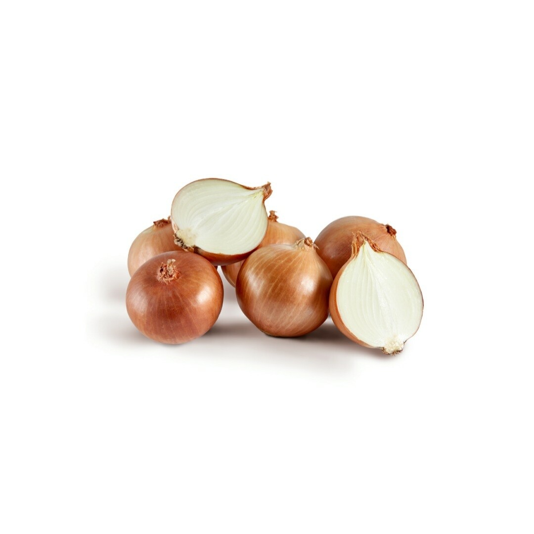 Cipolla Dorata