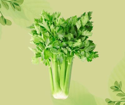 SEDANO