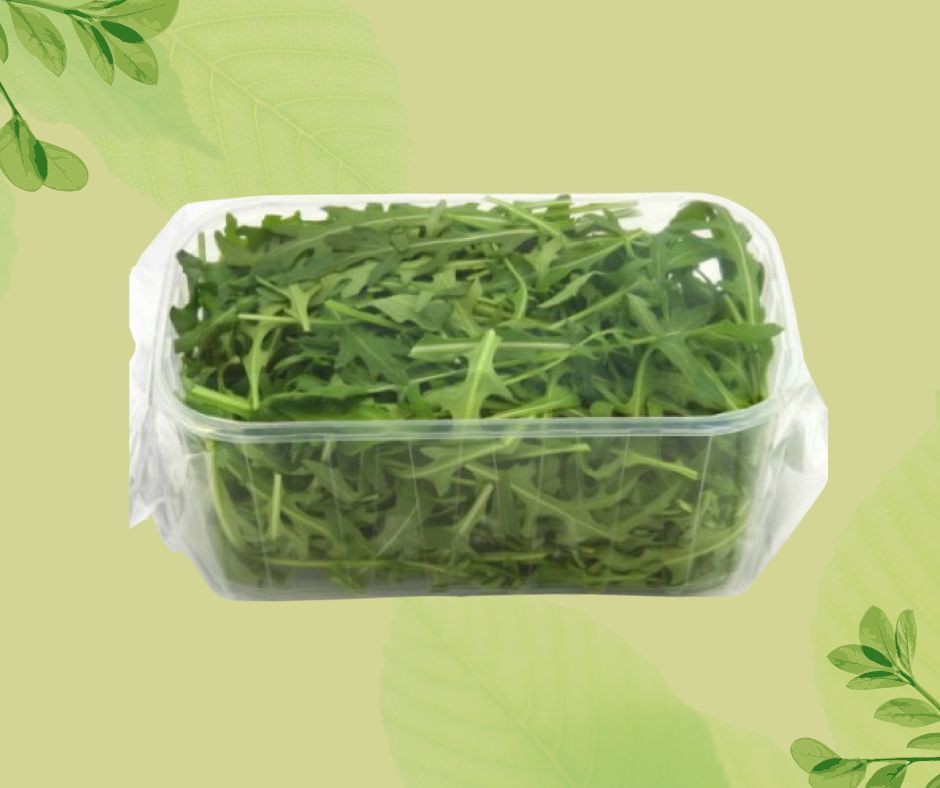 RUCOLA VASCHETTA
