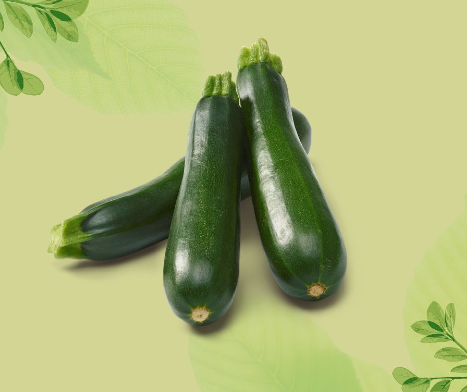 ZUCCHINA VERDE