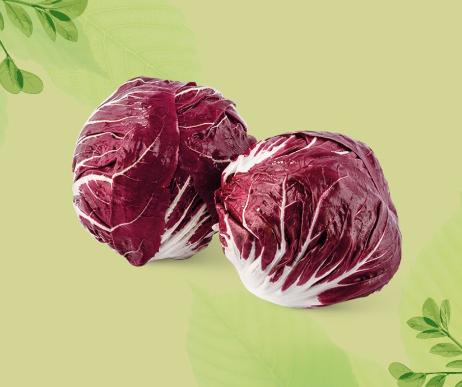RADICCHIO