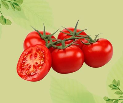 POMODORO TONDO ROSSO