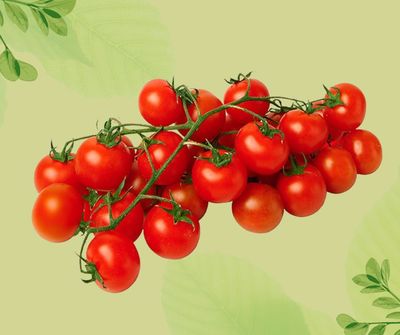 POMODORO CILIEGINO