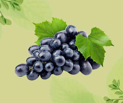 UVA NERA