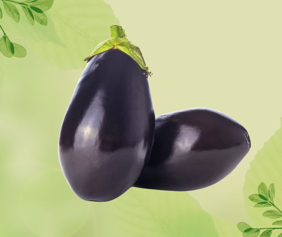 MELANZANA NERA