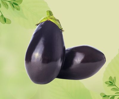 MELANZANA NERA