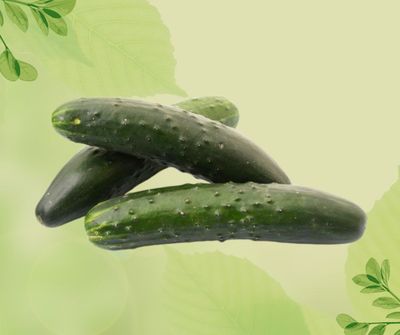 CETRIOLI