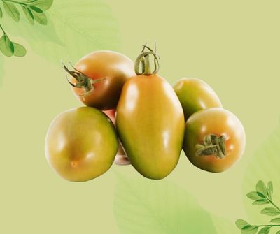 POMODORO VERDE