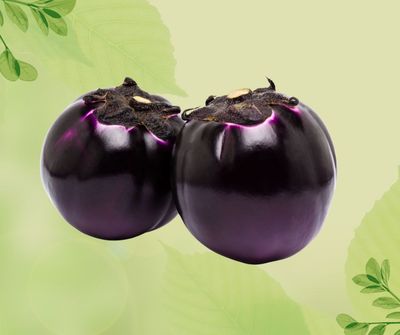 MELANZANA VIOLA