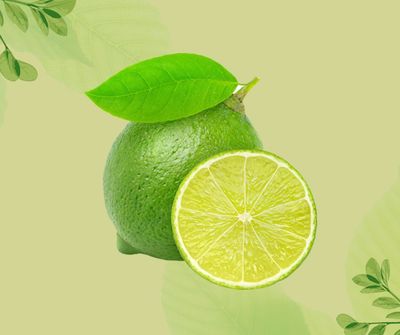 LIME