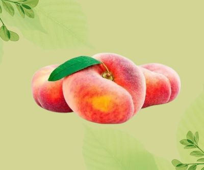 PESCHE TABACCHERE