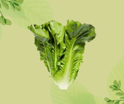 INSALATA LOCALE