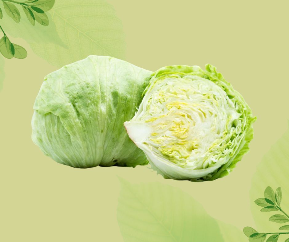 INSALATA ICEBERG