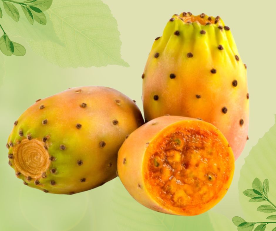 FICHI D&#39;INDIA CAT. II PROV. ITA