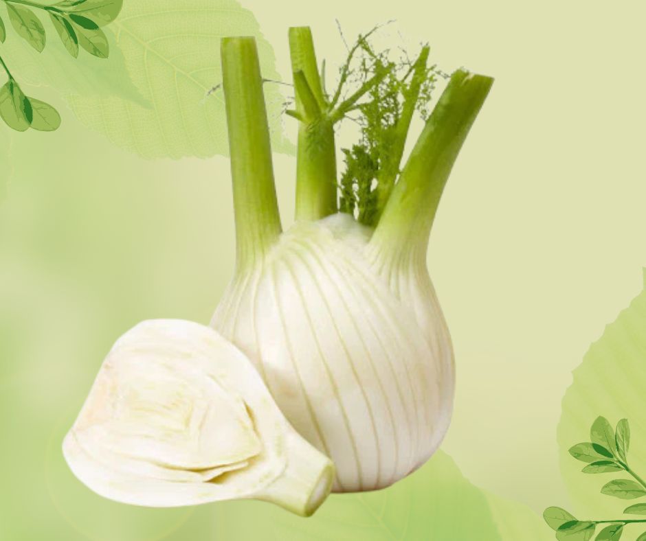 FINOCCHI CAT. II PROV. ITA