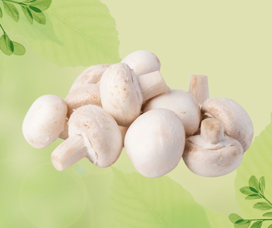 FUNGHI CHAMPIGNON CAT. II PROV. ITA