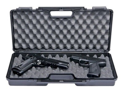 Double Pistol Case