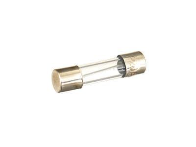 Fuse 25mm 20 amp x2
