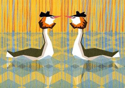 Great Crested Grebes Print