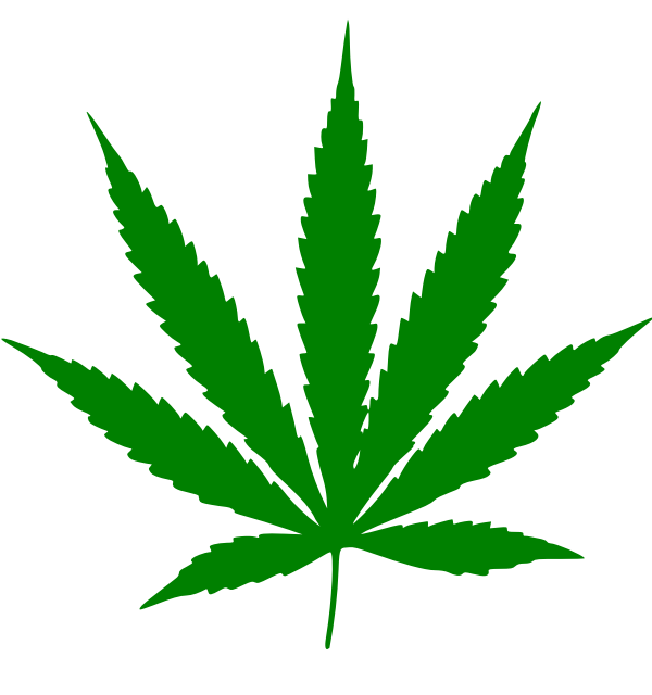 🌿 What Makes Hemp Fabric Eco-Friendly?