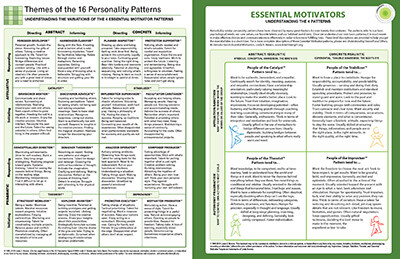 Essential Motivators Basic Handout (pkg 25)- WITH 16 types code