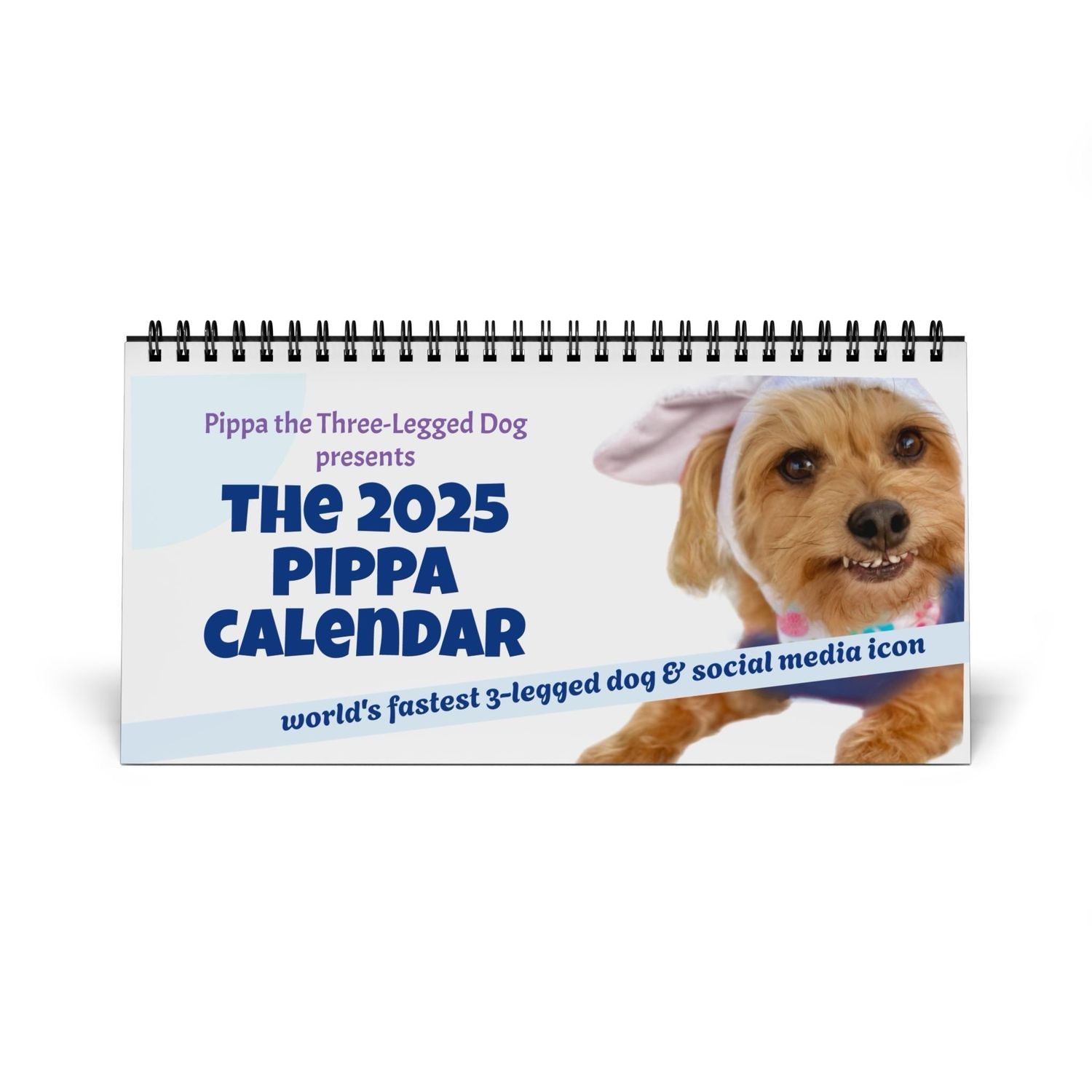 2025 PIPPA DESK CALENDAR