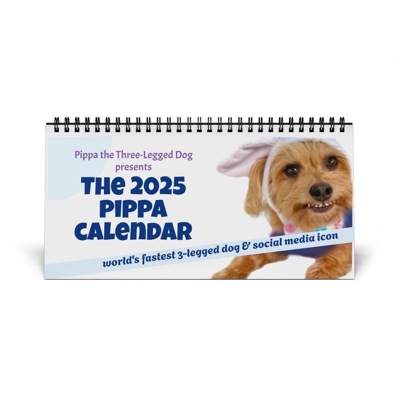 2025 PIPPA DESK CALENDAR