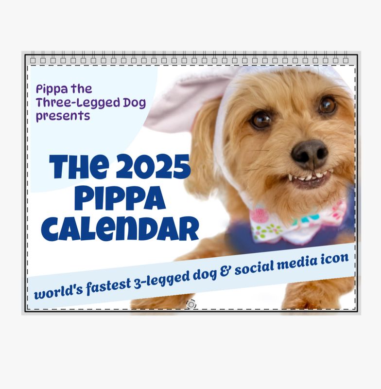 2025 Pippa Wall Calendar