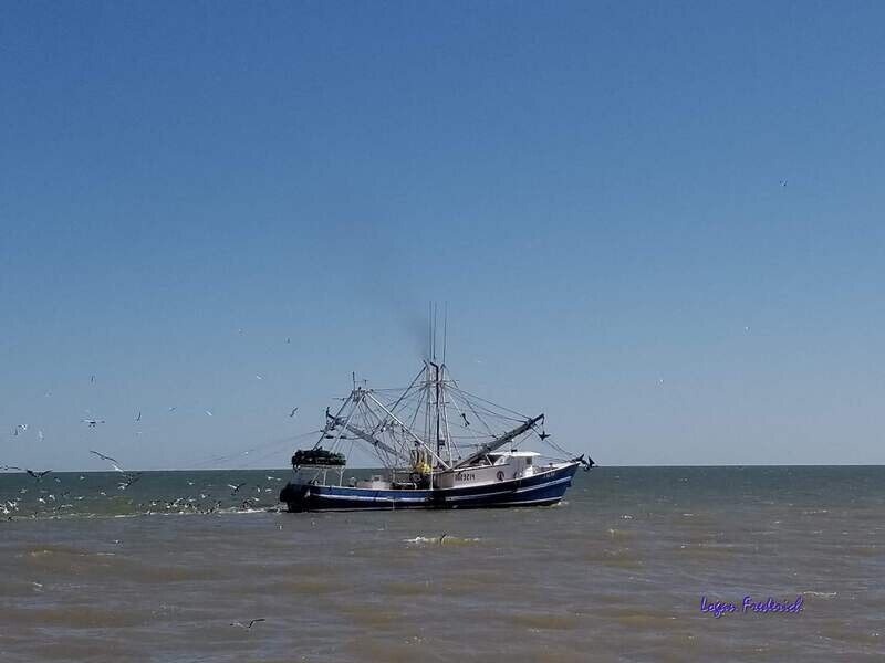 Shrimp Boat Sargent
