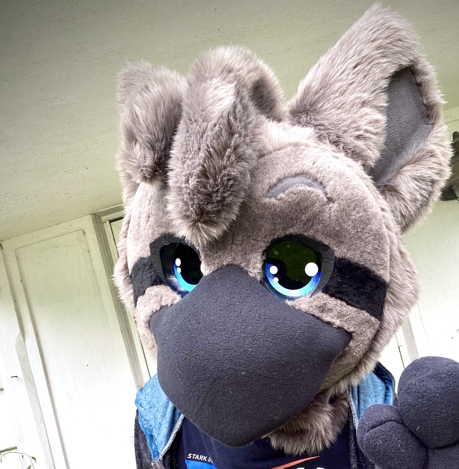 Kemono Toony Fursuit Eyes