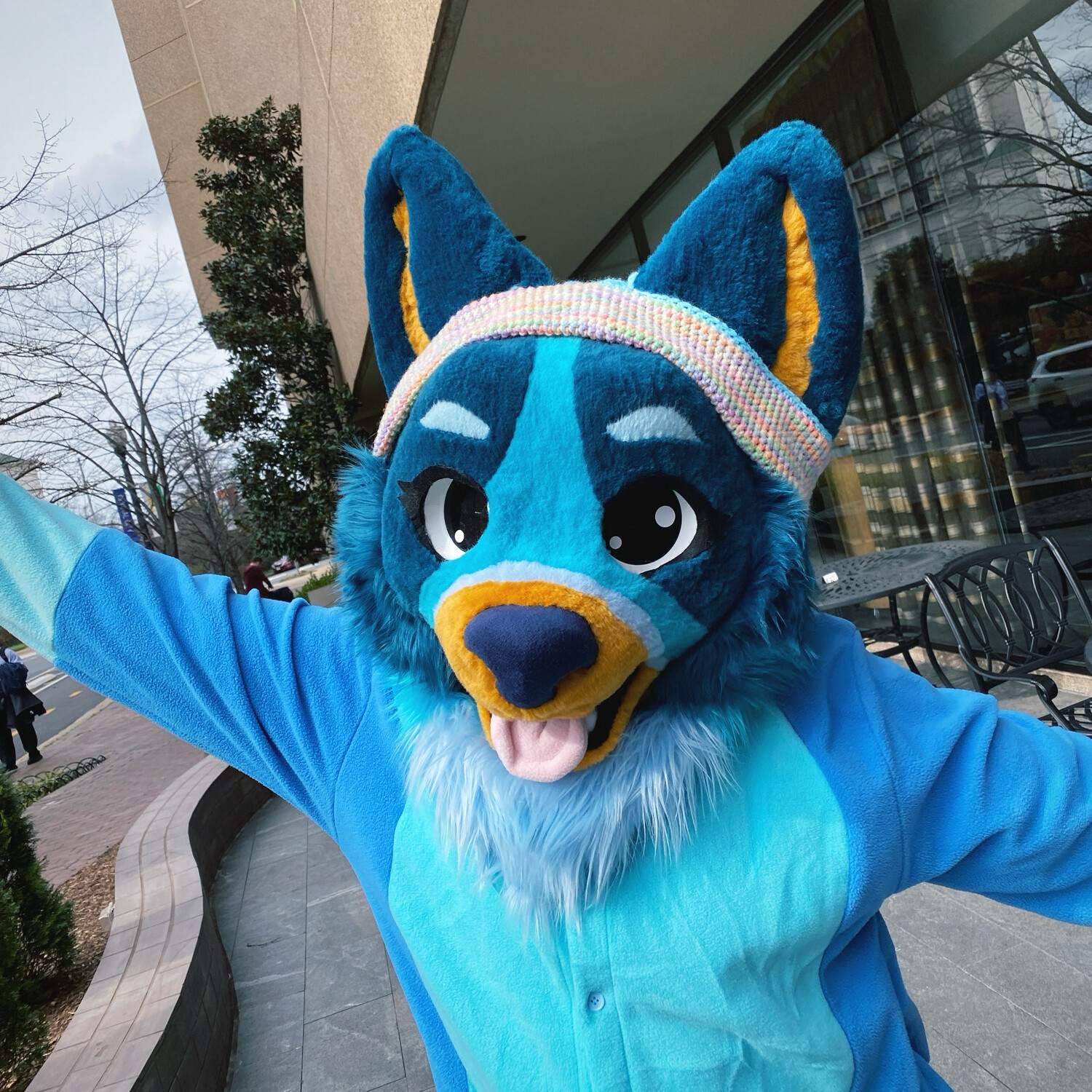Bluey Partial with ACCESSORIES