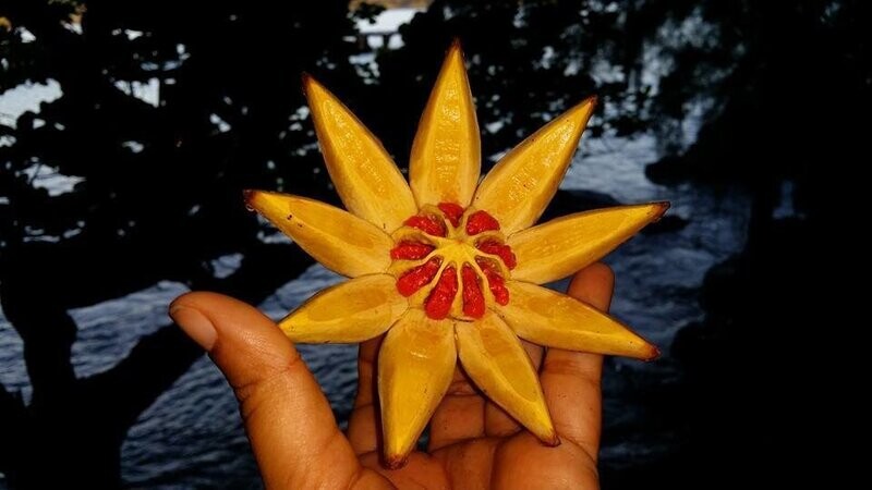 Hawaiian Huna Session with Debbie