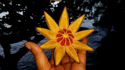Hawaiian Huna Session with Debbie