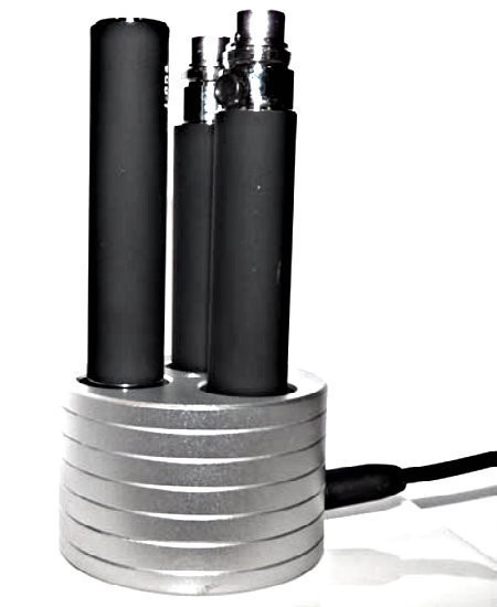 Ego Stand With Built In Charger - Silver