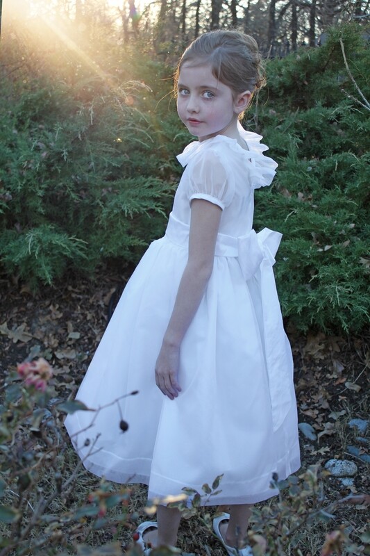 Silk Organza Dress with Ruffle Collar - Style 4928ST