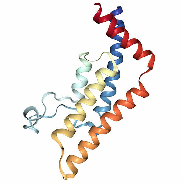 Recombinant Human ATAD2B protein (952-1086), Tag free Recombinant Human ATAD2B protein (952-1086), Tag free