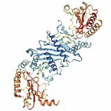 Recombinant Human PIP4K2A protein (aa 35-405), His-tagged