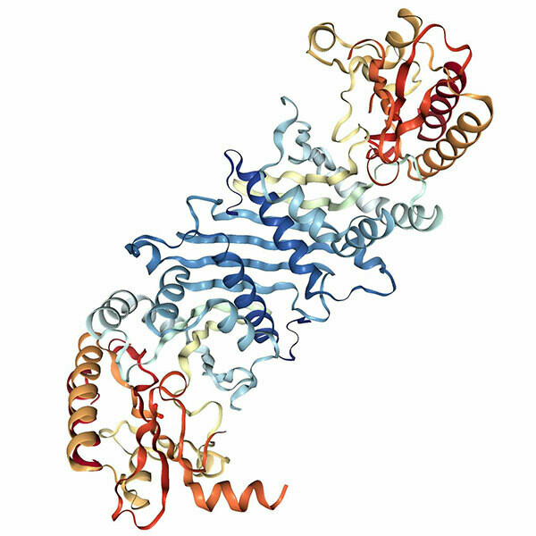 Recombinant Human PIP4K2A protein (aa 35-405), His-tagged